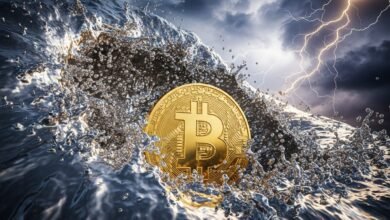 Silver Surges as Bitcoin