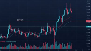 Bitcoin Tests Key Support