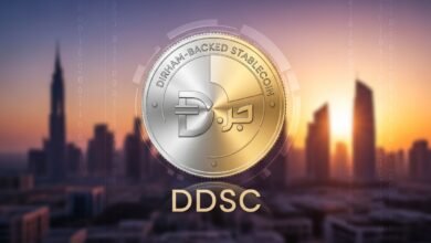 Dirham-Backed Stablecoin DDSC